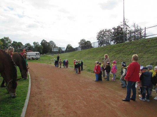 Grafika #66: 18.09.2015 - Miniolimpiada Osób Niepełnosprawnych