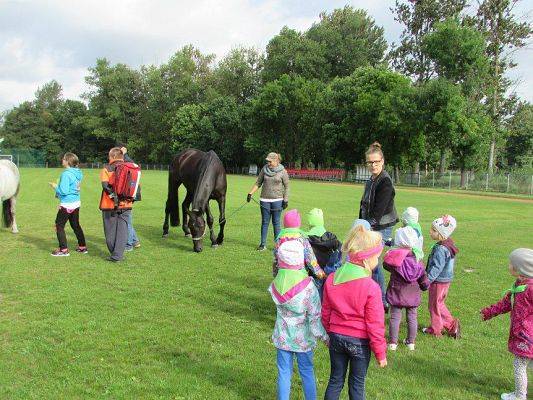 Grafika #69: 18.09.2015 - Miniolimpiada Osób Niepełnosprawnych