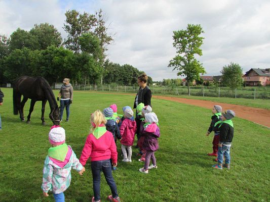 Grafika #70: 18.09.2015 - Miniolimpiada Osób Niepełnosprawnych