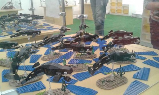 Grafika #1: 11.09.2015 - Interaktywna wystawa klocków Lego w Łebie