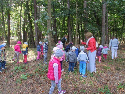 Grafika #2: 11.09.2015 - Wycieczka do Łeby