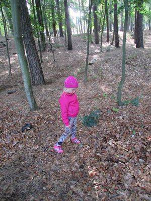 Grafika #8: 11.09.2015 - Wycieczka do Łeby