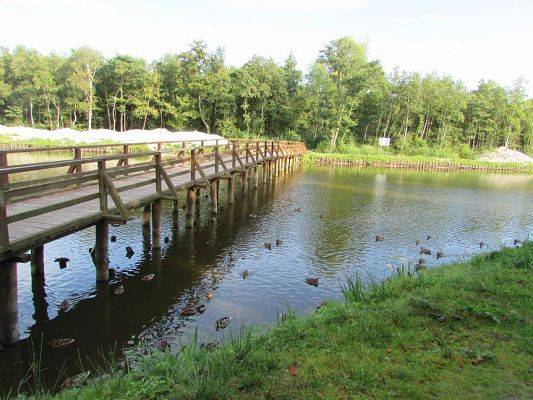 Grafika #14: 11.09.2015 - Wycieczka do Łeby