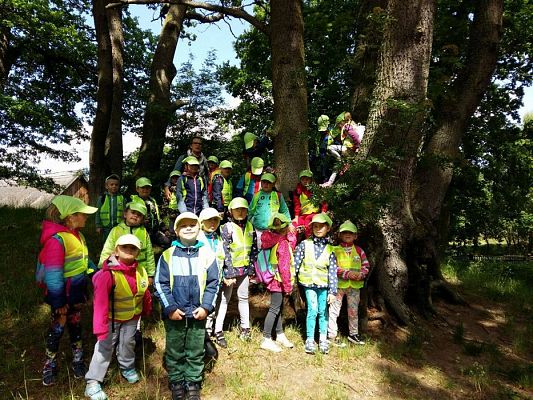 Grafika #1: 08.06.2017 Wycieczka do Kluk cz.I
