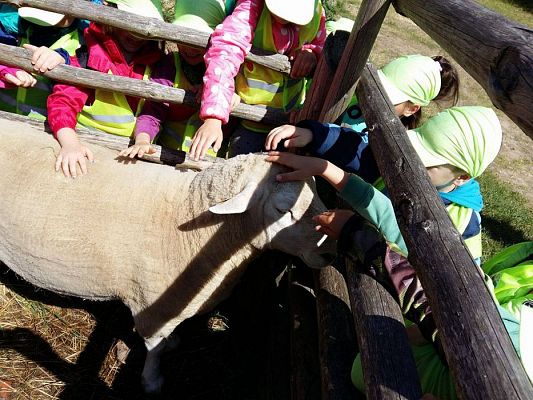 Grafika #3: 08.06.2017 Wycieczka do Kluk cz.I