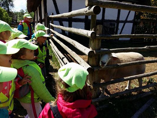 Grafika #10: 08.06.2017 Wycieczka do Kluk cz.I