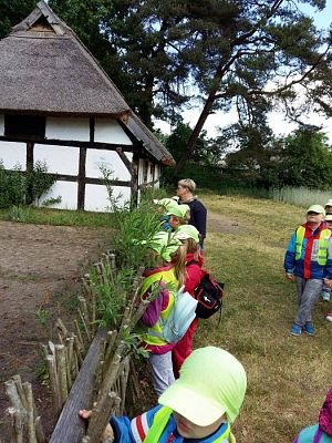 Grafika #11: 08.06.2017 Wycieczka do Kluk cz.I