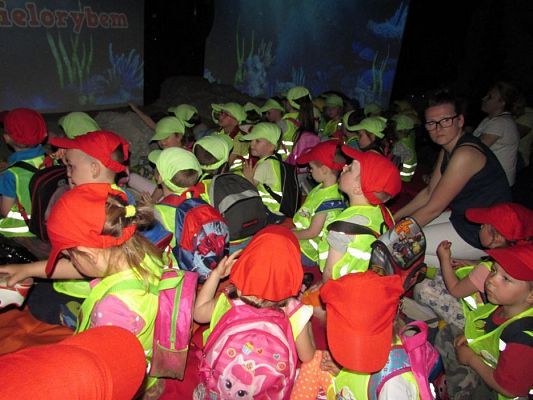 Grafika #31: 18.05.2017 Wycieczka do Sea Parku w Sarbsku cz.II