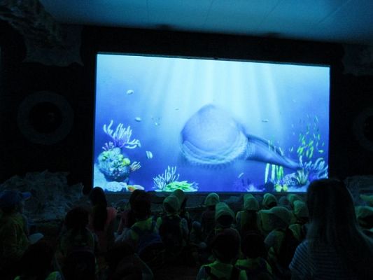 Grafika #33: 18.05.2017 Wycieczka do Sea Parku w Sarbsku cz.II