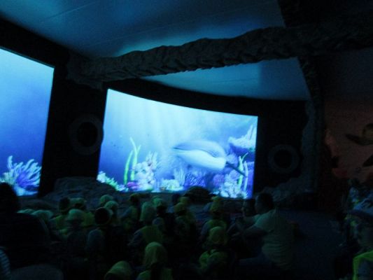 Grafika #34: 18.05.2017 Wycieczka do Sea Parku w Sarbsku cz.II