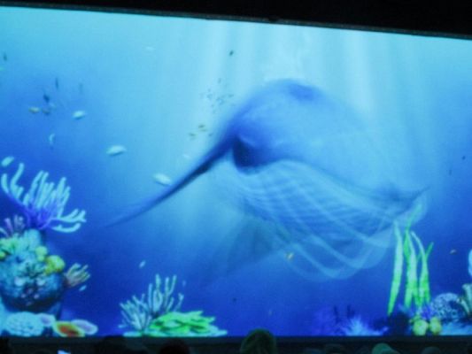 Grafika #36: 18.05.2017 Wycieczka do Sea Parku w Sarbsku cz.II