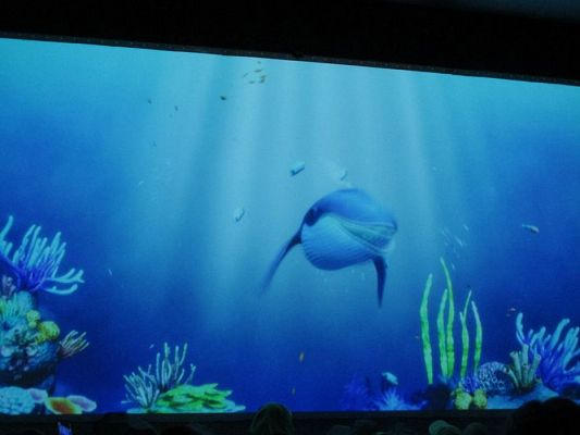 Grafika #37: 18.05.2017 Wycieczka do Sea Parku w Sarbsku cz.II