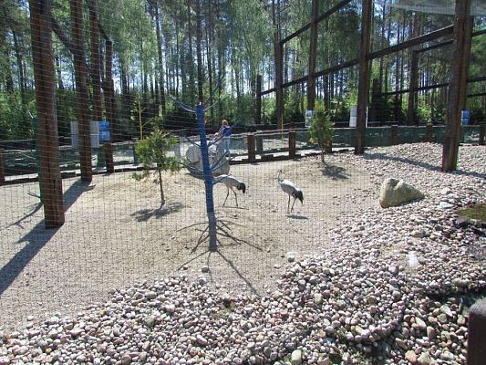 Grafika #45: 18.05.2017 Wycieczka do Sea Parku w Sarbsku cz.II