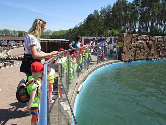 Grafika #60: 18.05.2017 Wycieczka do Sea Parku w Sarbsku cz.II