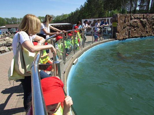 Grafika #61: 18.05.2017 Wycieczka do Sea Parku w Sarbsku cz.II
