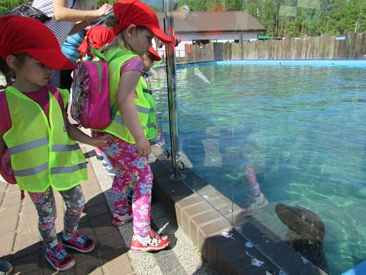 Grafika #76: 18.05.2017 Wycieczka do Sea Parku w Sarbsku cz.I