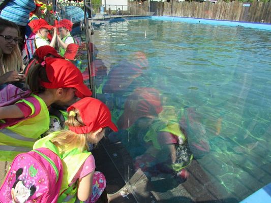 Grafika #77: 18.05.2017 Wycieczka do Sea Parku w Sarbsku cz.I