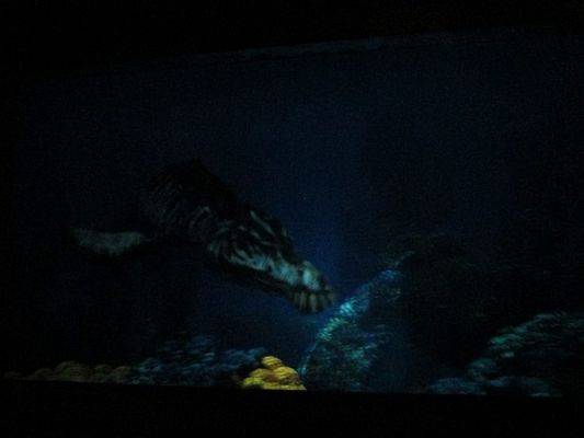 Grafika #85: 18.05.2017 Wycieczka do Sea Parku w Sarbsku cz.I