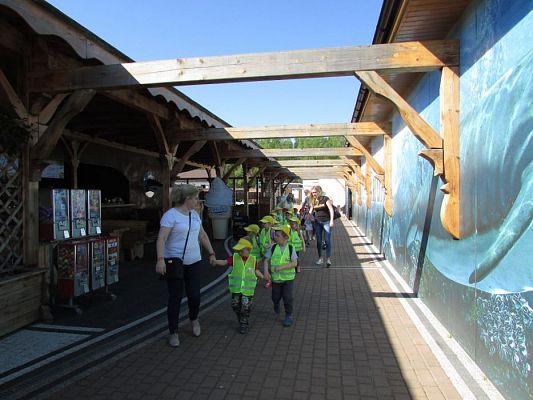 Grafika #5: 18.05.2017 Wycieczka do Sea Parku w Sarbsku cz.I