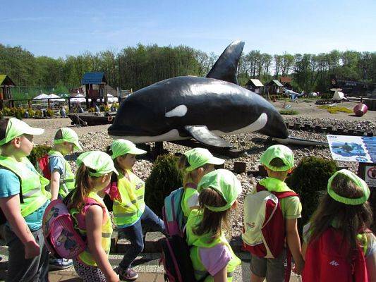 Grafika #14: 18.05.2017 Wycieczka do Sea Parku w Sarbsku cz.I