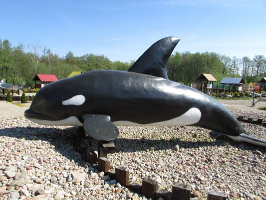 Grafika #15: 18.05.2017 Wycieczka do Sea Parku w Sarbsku cz.I