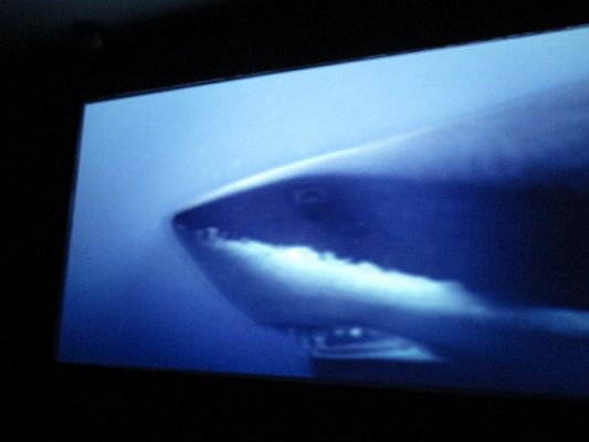 Grafika #26: 18.05.2017 Wycieczka do Sea Parku w Sarbsku cz.I