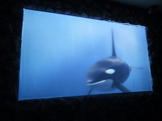 Grafika #30: 18.05.2017 Wycieczka do Sea Parku w Sarbsku cz.I