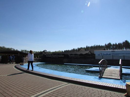 Grafika #40: 18.05.2017 Wycieczka do Sea Parku w Sarbsku cz.I