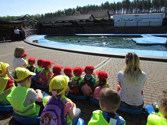 Grafika #42: 18.05.2017 Wycieczka do Sea Parku w Sarbsku cz.I