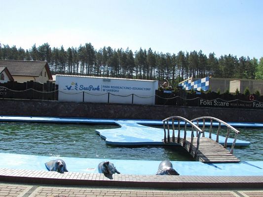 Grafika #43: 18.05.2017 Wycieczka do Sea Parku w Sarbsku cz.I