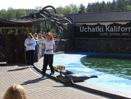 Grafika #44: 18.05.2017 Wycieczka do Sea Parku w Sarbsku cz.I