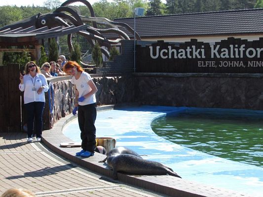 Grafika #45: 18.05.2017 Wycieczka do Sea Parku w Sarbsku cz.I