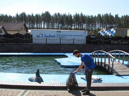 Grafika #46: 18.05.2017 Wycieczka do Sea Parku w Sarbsku cz.I