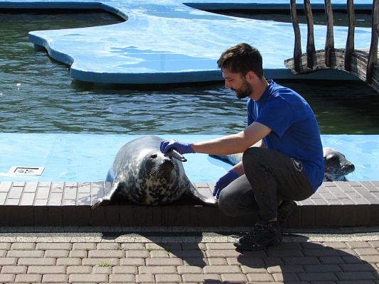 Grafika #47: 18.05.2017 Wycieczka do Sea Parku w Sarbsku cz.I