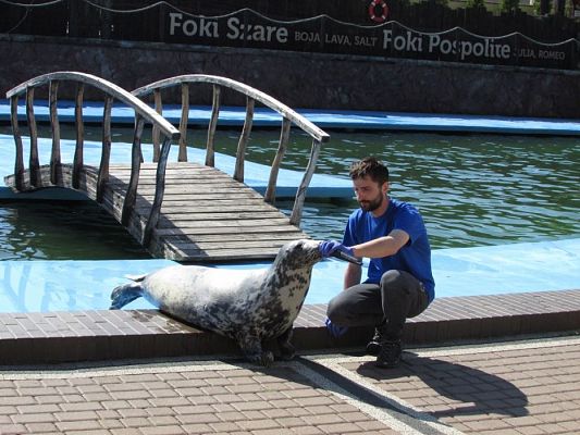 Grafika #48: 18.05.2017 Wycieczka do Sea Parku w Sarbsku cz.I