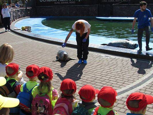 Grafika #51: 18.05.2017 Wycieczka do Sea Parku w Sarbsku cz.I