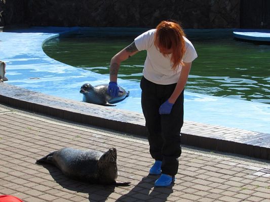 Grafika #52: 18.05.2017 Wycieczka do Sea Parku w Sarbsku cz.I
