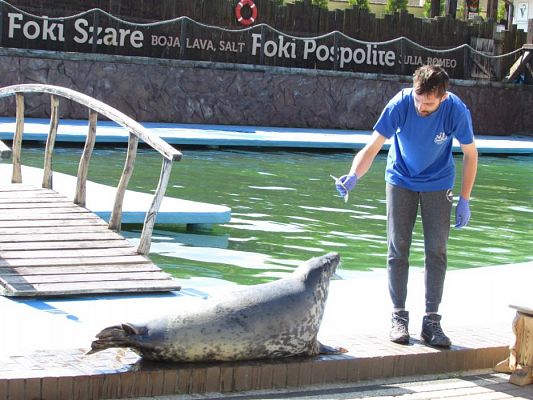 Grafika #53: 18.05.2017 Wycieczka do Sea Parku w Sarbsku cz.I