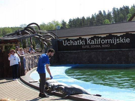 Grafika #54: 18.05.2017 Wycieczka do Sea Parku w Sarbsku cz.I