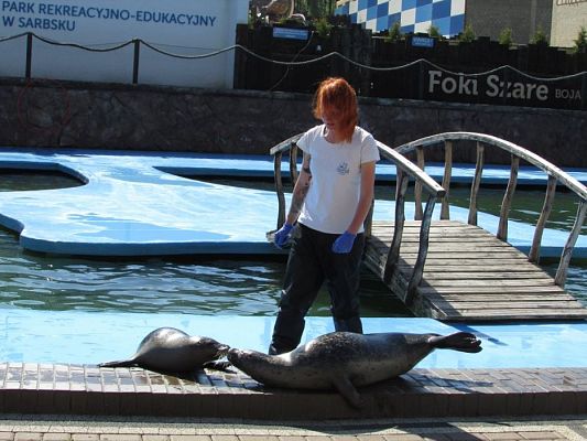 Grafika #55: 18.05.2017 Wycieczka do Sea Parku w Sarbsku cz.I