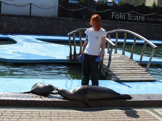 Grafika #56: 18.05.2017 Wycieczka do Sea Parku w Sarbsku cz.I