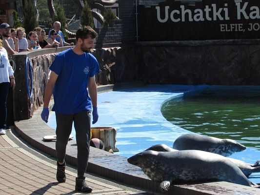 Grafika #57: 18.05.2017 Wycieczka do Sea Parku w Sarbsku cz.I