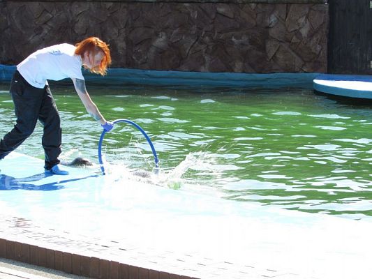 Grafika #59: 18.05.2017 Wycieczka do Sea Parku w Sarbsku cz.I