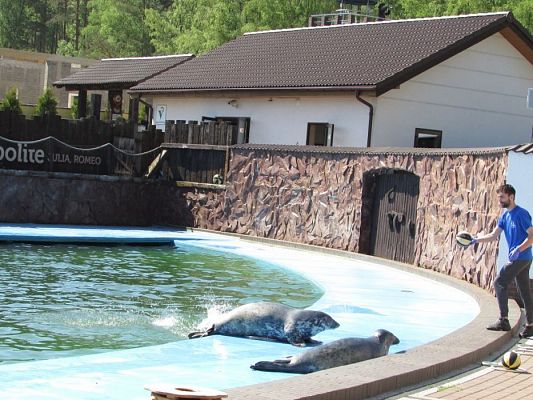 Grafika #61: 18.05.2017 Wycieczka do Sea Parku w Sarbsku cz.I