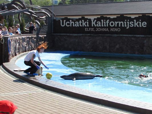 Grafika #62: 18.05.2017 Wycieczka do Sea Parku w Sarbsku cz.I