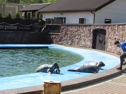 Grafika #63: 18.05.2017 Wycieczka do Sea Parku w Sarbsku cz.I