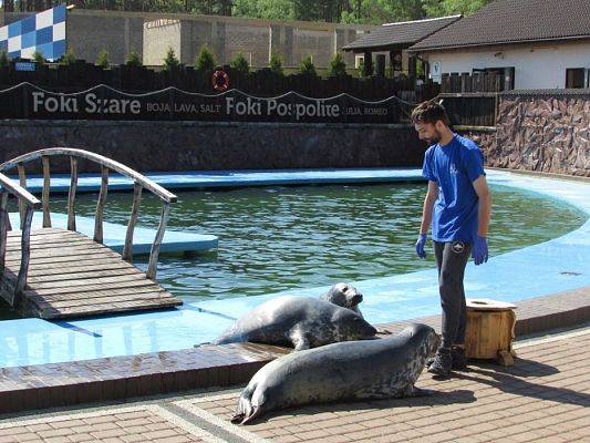 Grafika #64: 18.05.2017 Wycieczka do Sea Parku w Sarbsku cz.I