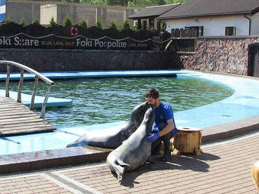 Grafika #65: 18.05.2017 Wycieczka do Sea Parku w Sarbsku cz.I