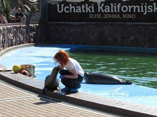 Grafika #66: 18.05.2017 Wycieczka do Sea Parku w Sarbsku cz.I