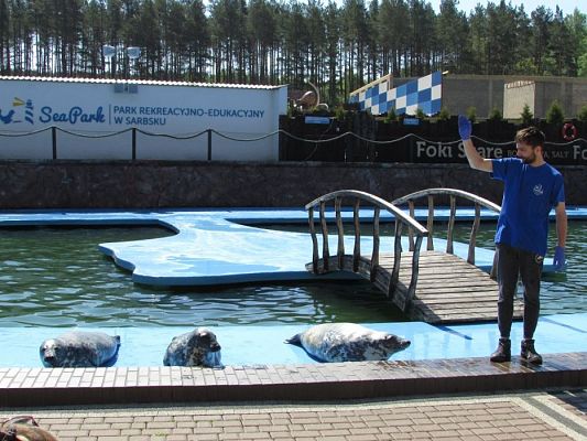 Grafika #67: 18.05.2017 Wycieczka do Sea Parku w Sarbsku cz.I